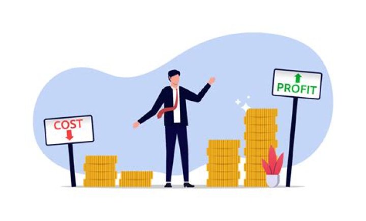 Can you reinvest profits in an LLC?