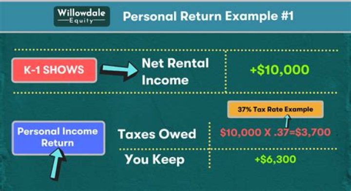 Does a k1 show income?