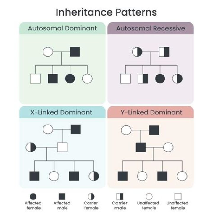 Is inheritance reported on a 1099?