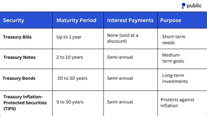 What are Treasury securities in simple terms?