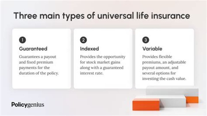 What is a universal variable life insurance policy?
