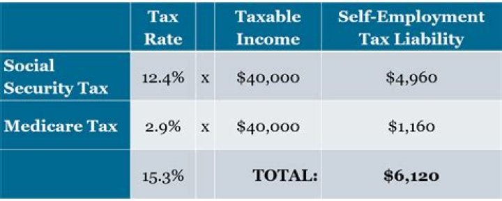 What was the self-employment tax rate for 2013?